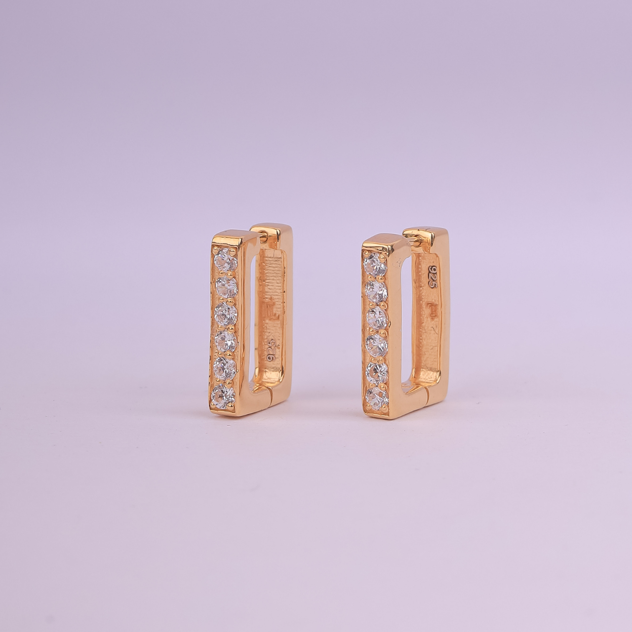 Elariss Edge Earring